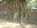 2013_02_Thailand_3_Ayuttaya (281)